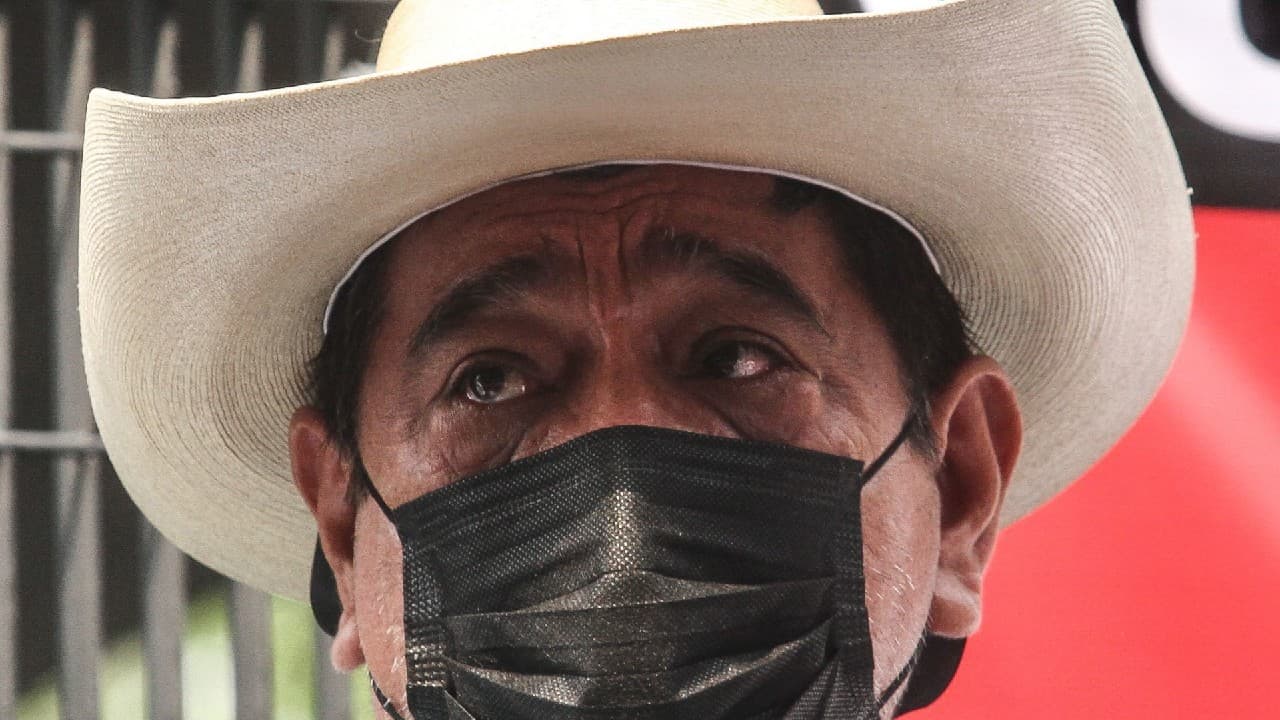 TEPJF - Félix Salgado _ Raúl Morón