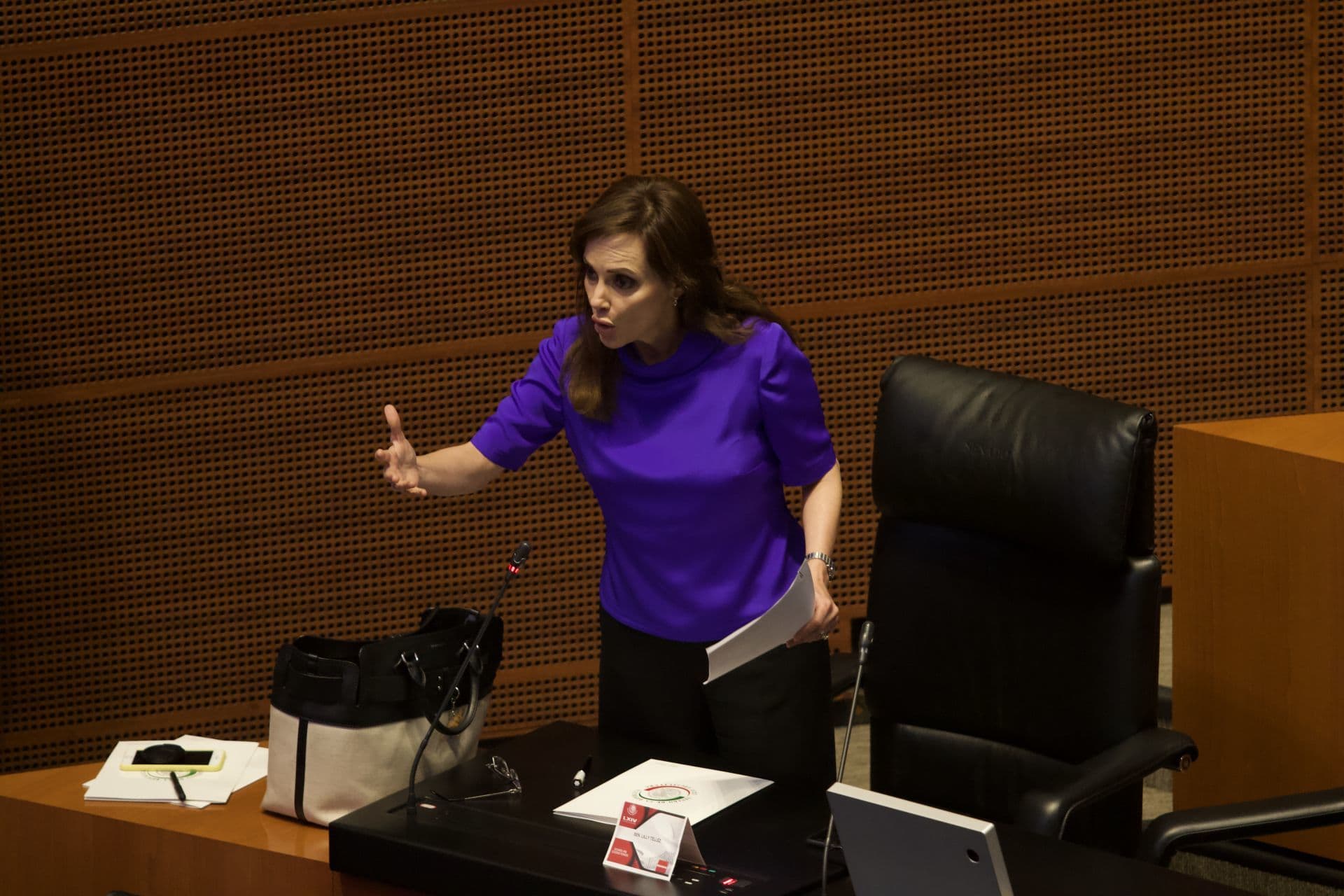 La senadora panista Lilly Téllez. Foto: Cuartoscuro