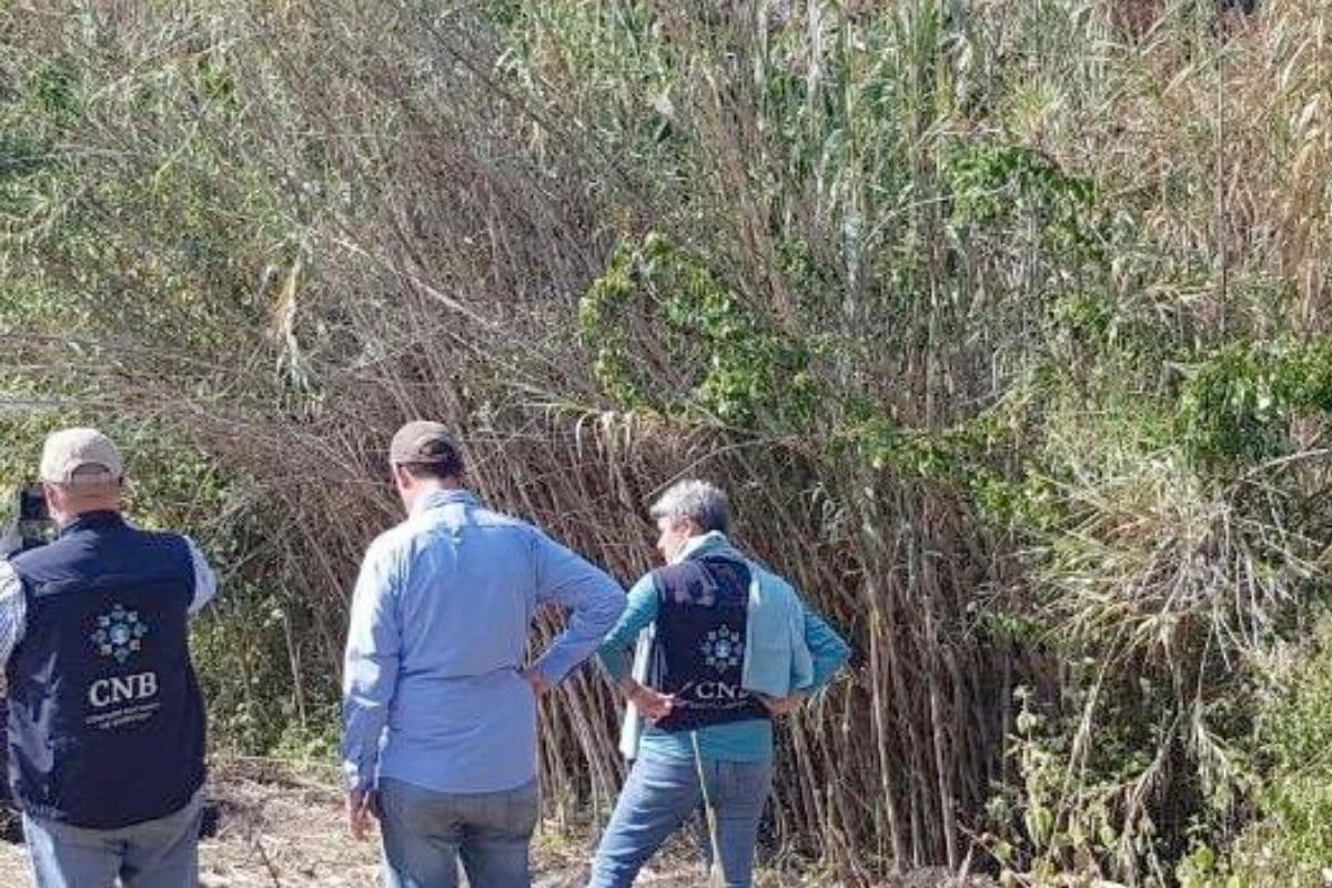 Trabajos de búsqueda de personas. Foto: Twitter @Busqueda_MX