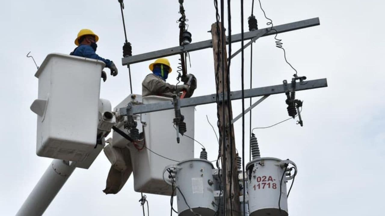 actividades de la CFE