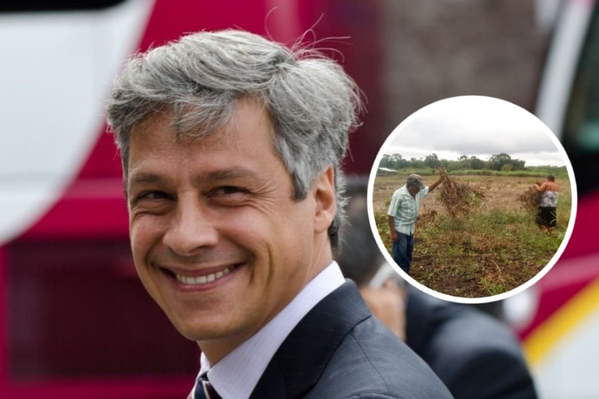 Claudio X. González sembrando vida