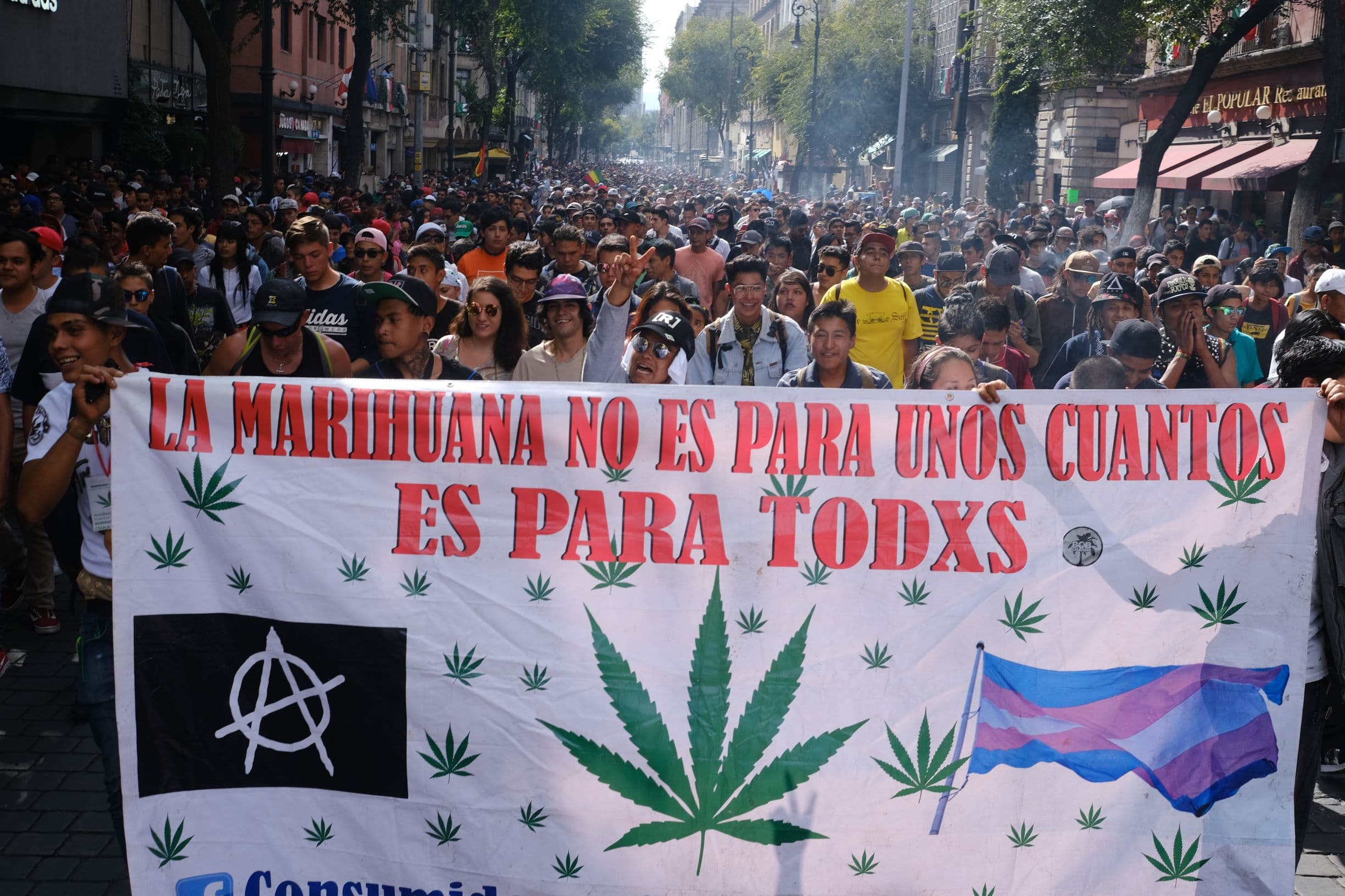 El uso personal del cannabis no requiere de comercialización, lo que supone una ventaja, según organizaciones ciudadanas • Foto: Cuartoscuro