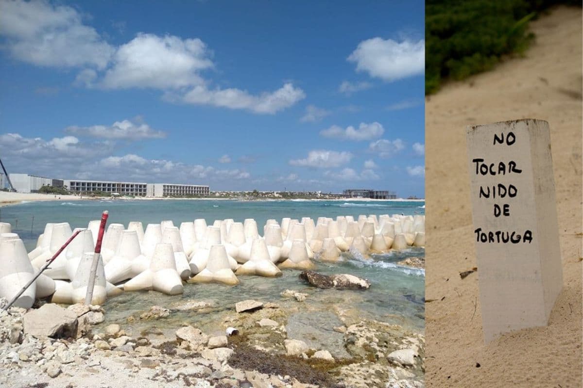 Construcción destruye y modifica el litoral costero a metros de Xcacel. Foto: Roberto Herrera, Comité Estatal Tortugas Marinas Qroo. / Foto: Peyri Herrera, Flickr.