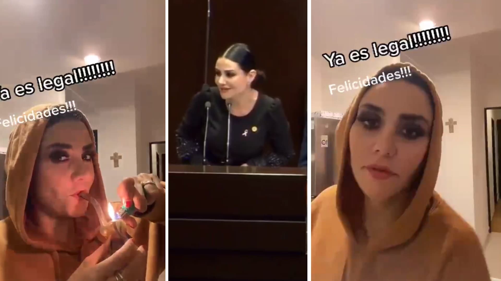 La diputada federal por el PES, Nayeli Salvatori. Foto: especial