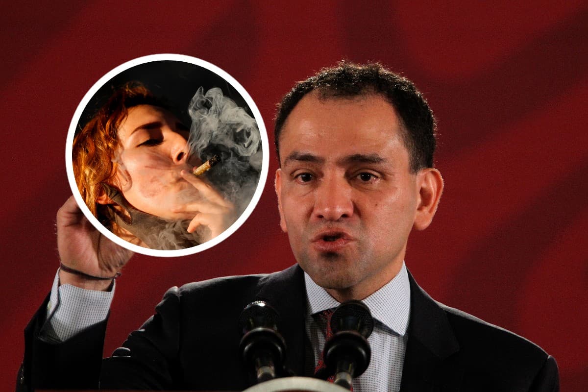 El secretario de Hacienda, Arturo Herrera. Foto: especial