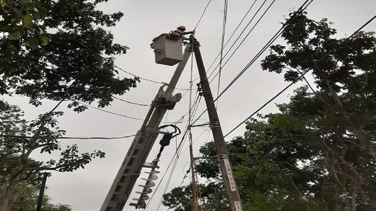 Trabajador de la CFE