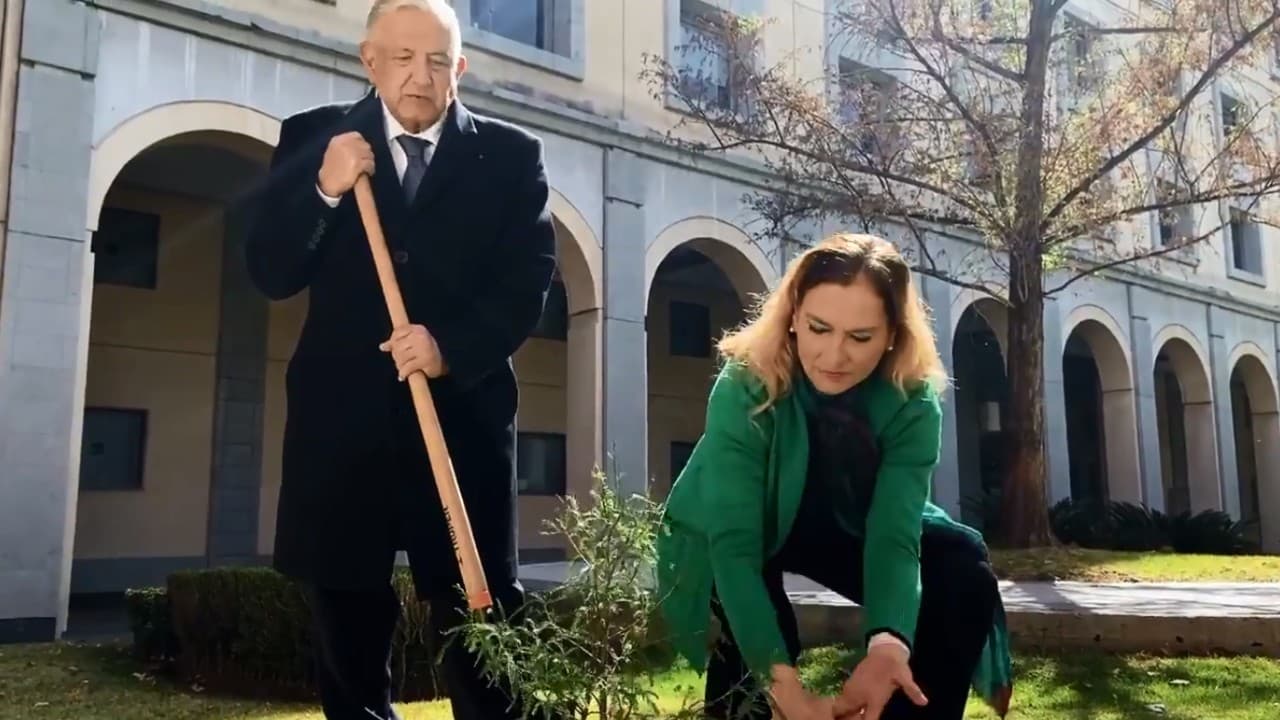 VIDEO: AMLO siembra árbol en memoria de fallecidos por COVID-19