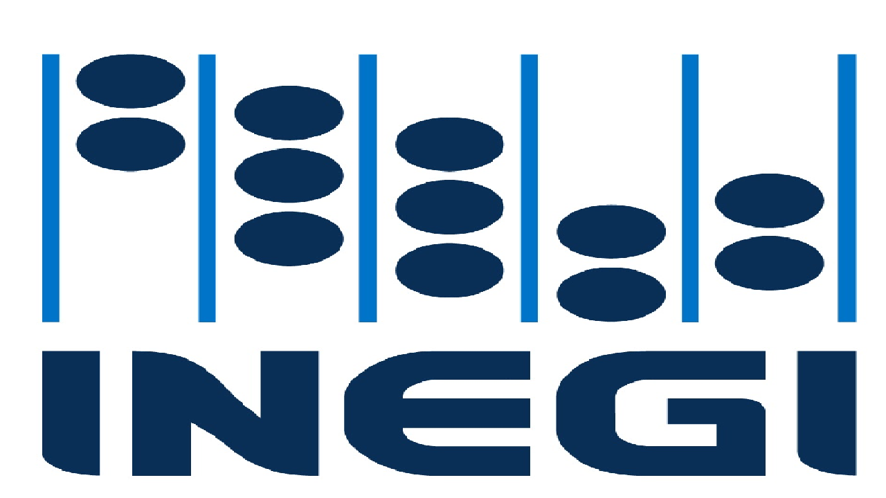 En 2020 Disminuye inversión en México: INEGI