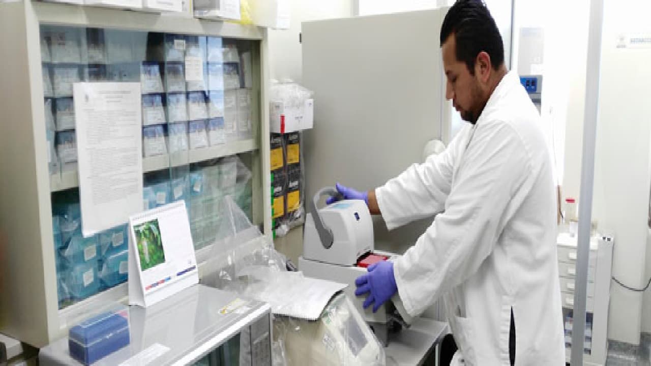 Crean prueba diagnóstica que identifica Covid-19 e Influenza