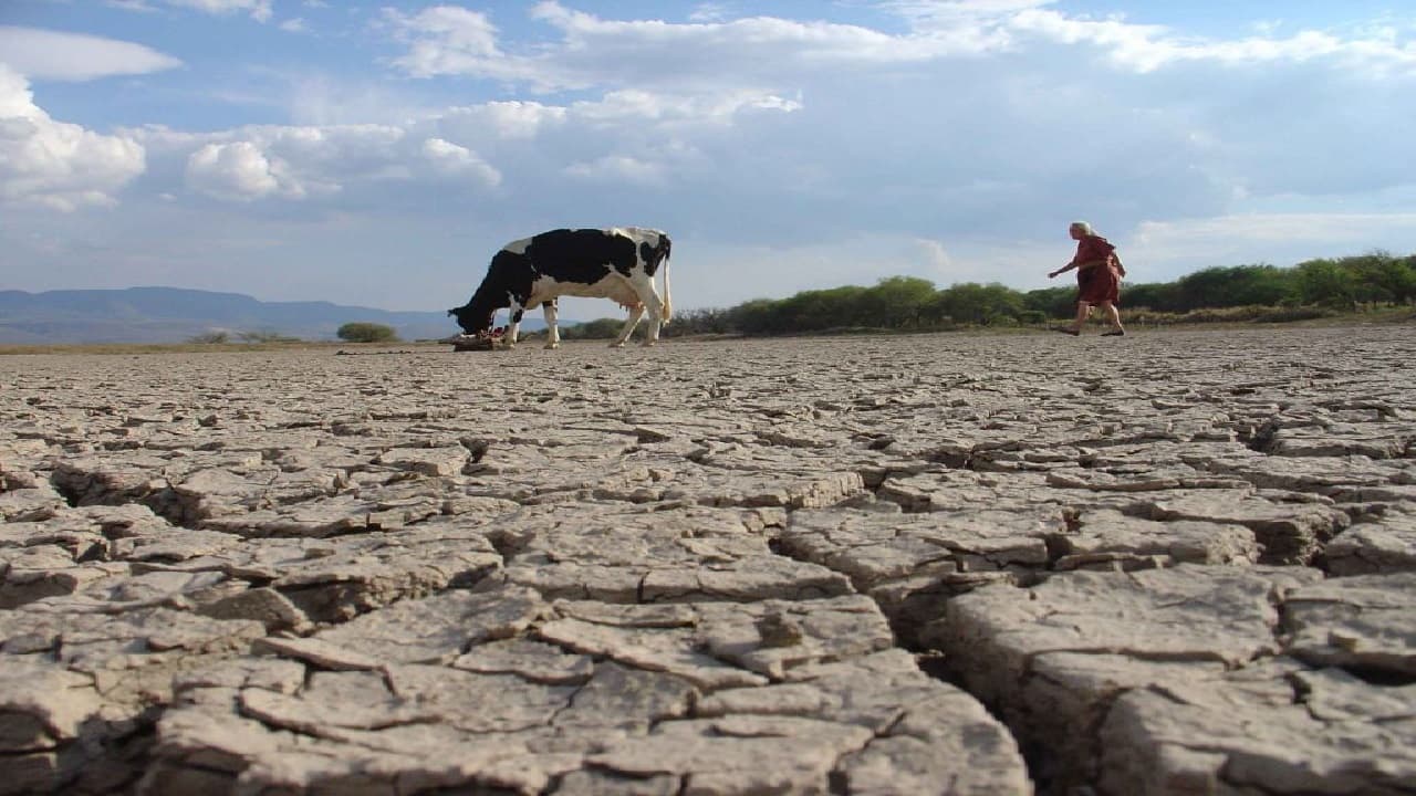 Reportan sequía en 82.9 % del territorio nacional