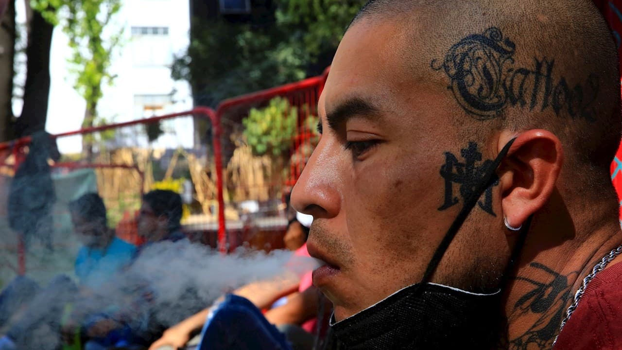 Anabel: Legalización de la marihuana no afectará a cárteles de la droga