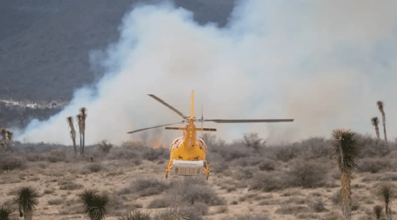 Incendio forestal en Coahuila y NL