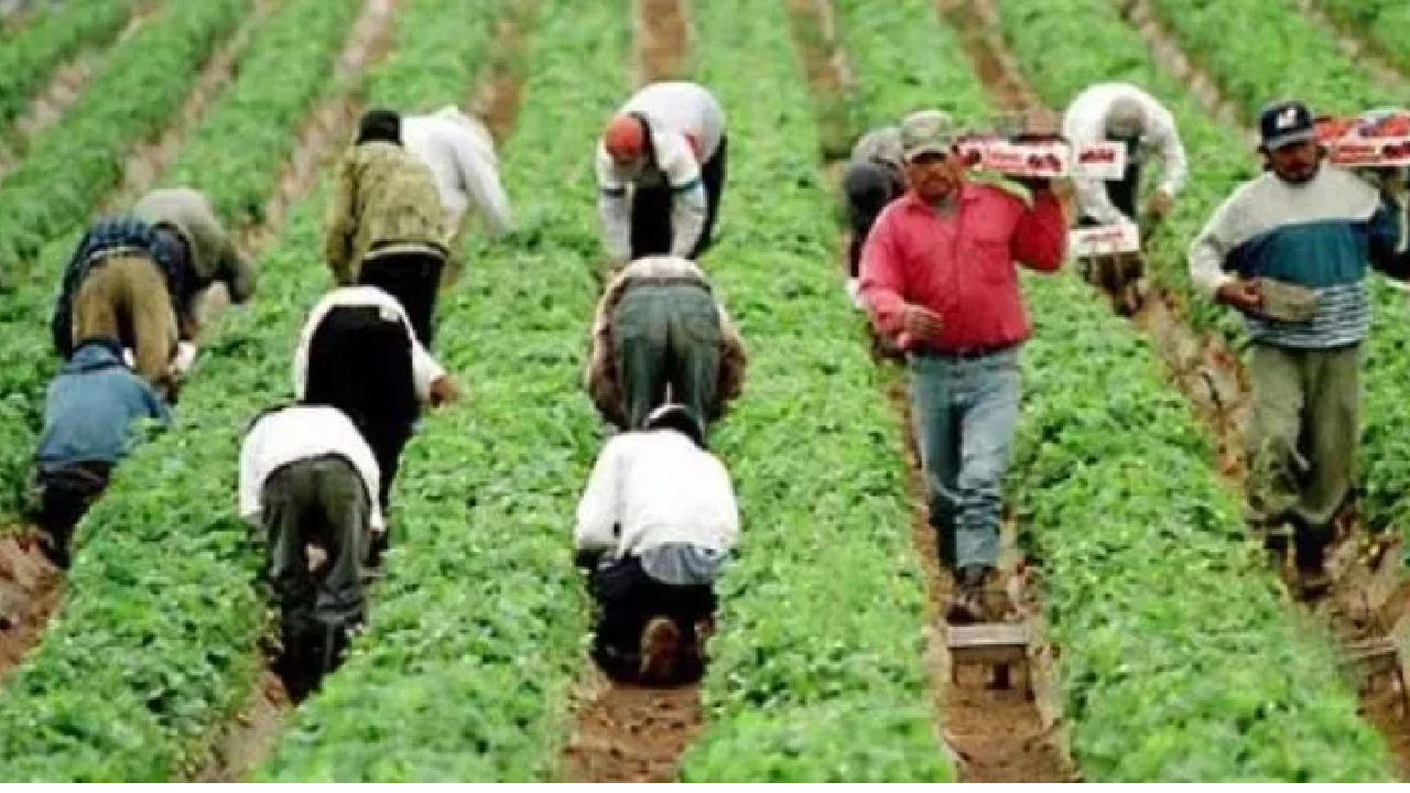 Reclama México a EU violaciones a derechos laborales de mexicanos