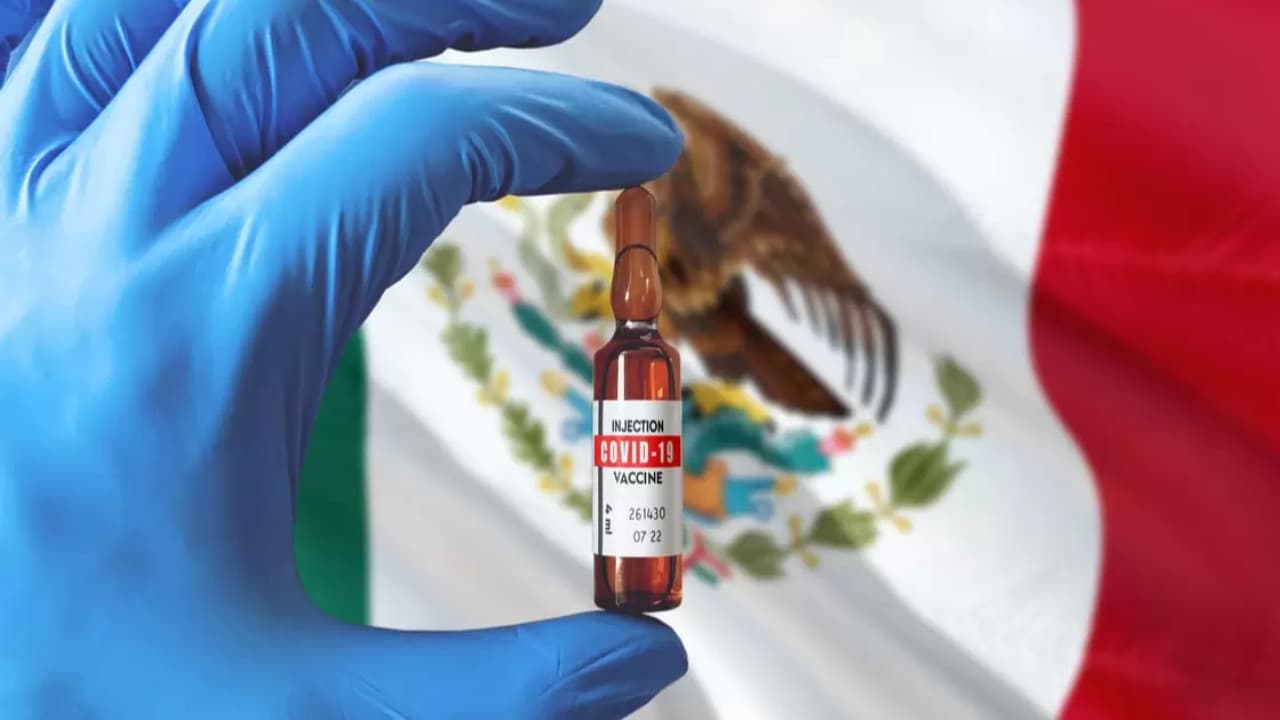 vacuna mexicana patria
