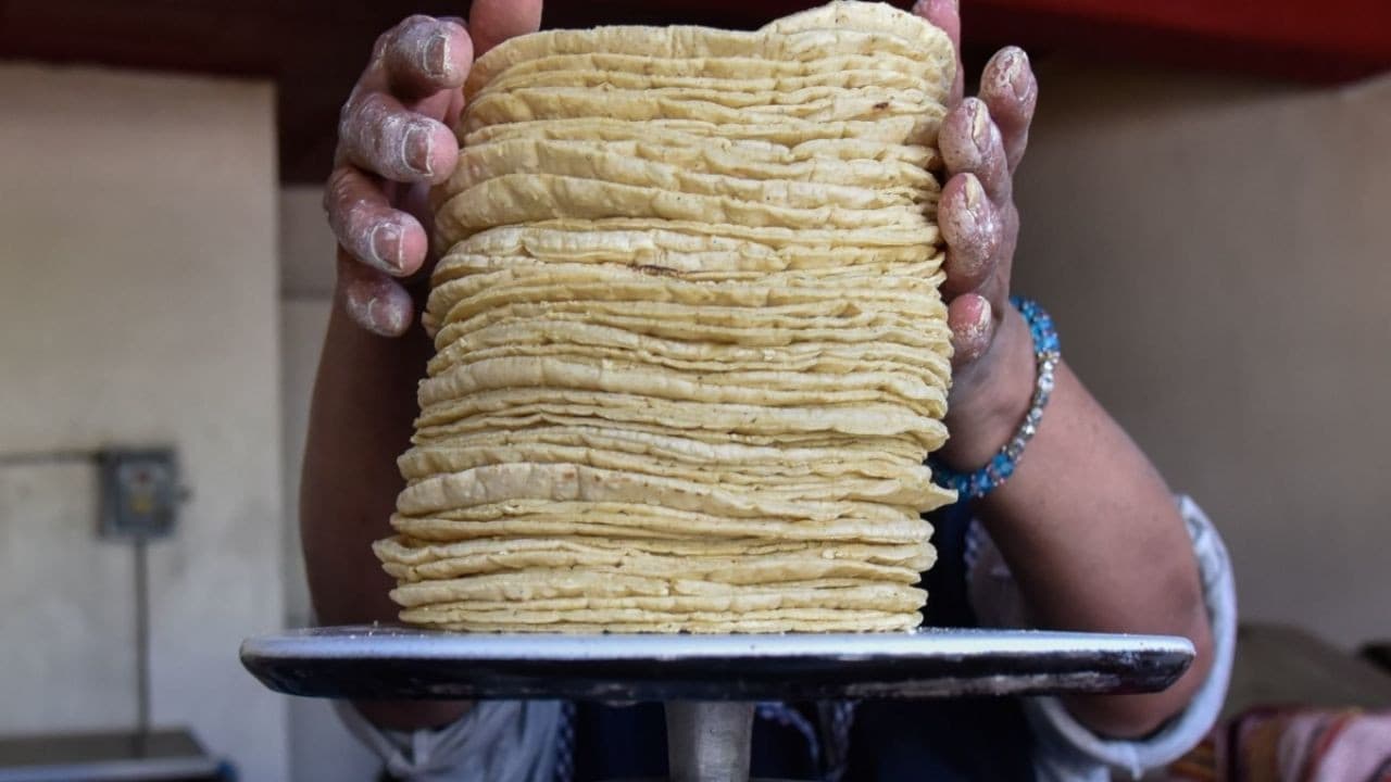 Precio del kilogramo de tortilla alcanzó los 20 pesos