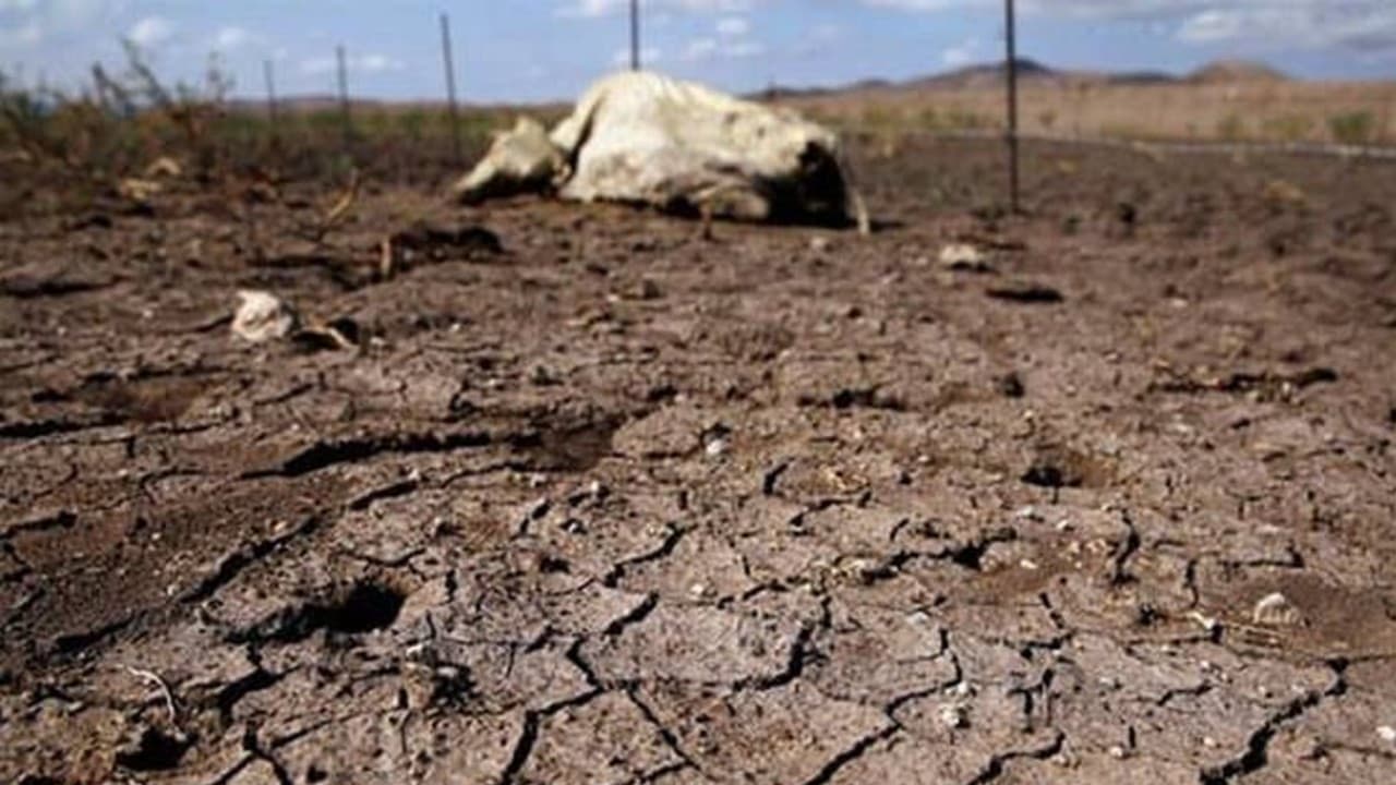 Alerta Hermosillo, falta de agua por sequía extrema