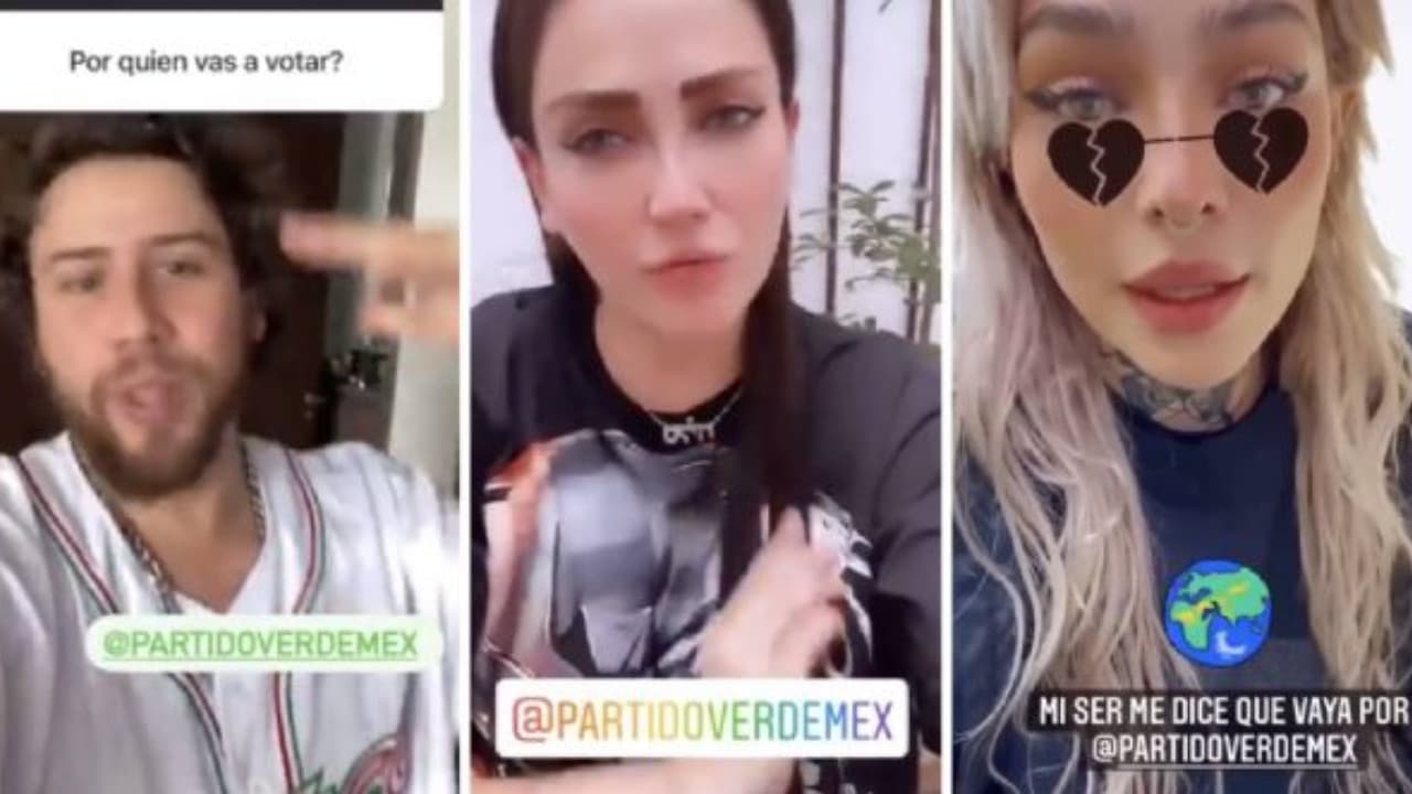 PVEM informa que el pago a influencers no salió del partido
