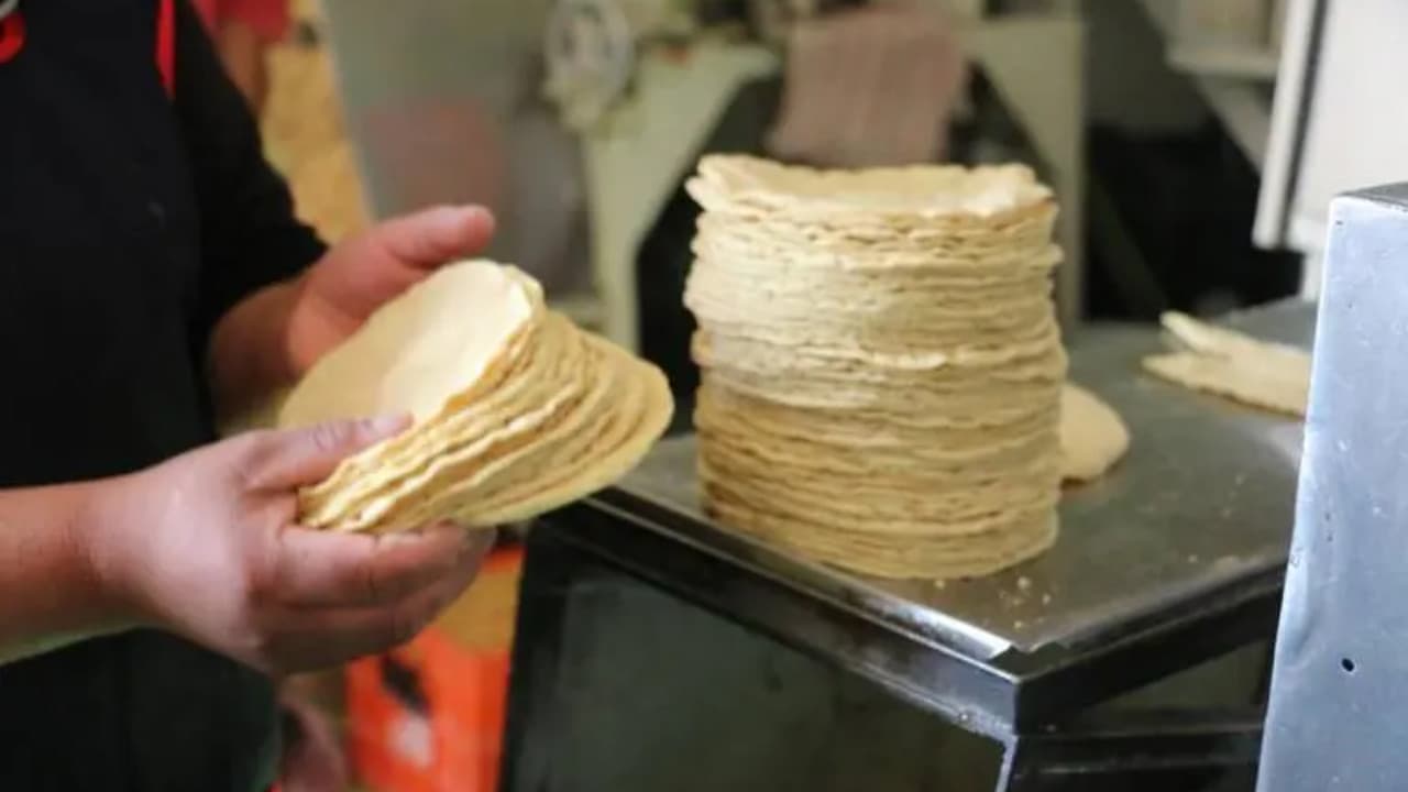 Precio del Kilo de tortilla