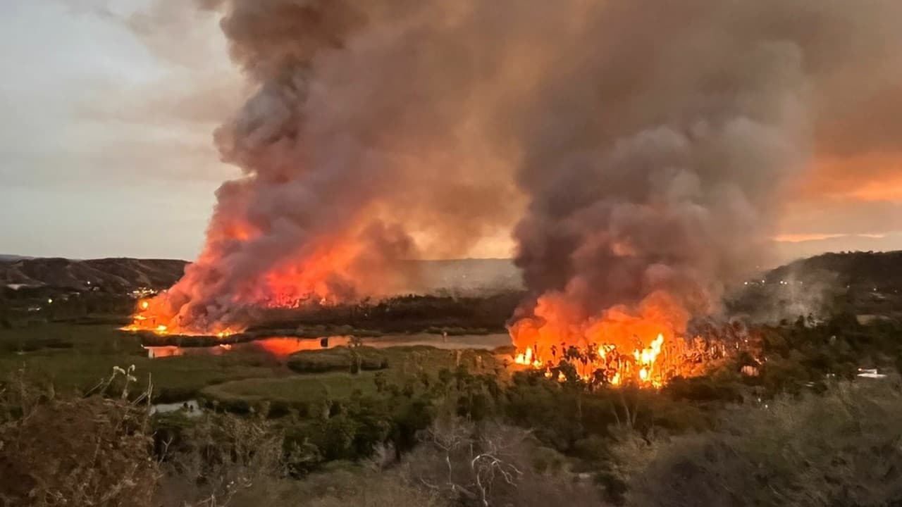 Incendio en Santiago, BCS, consumió 50 hectáreas y dañó 40 casas