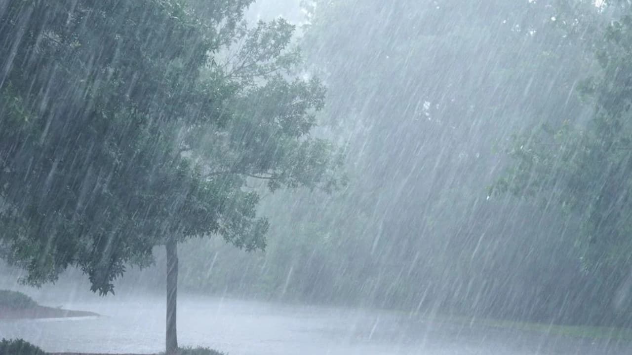 Se prevén lluvias fuertes