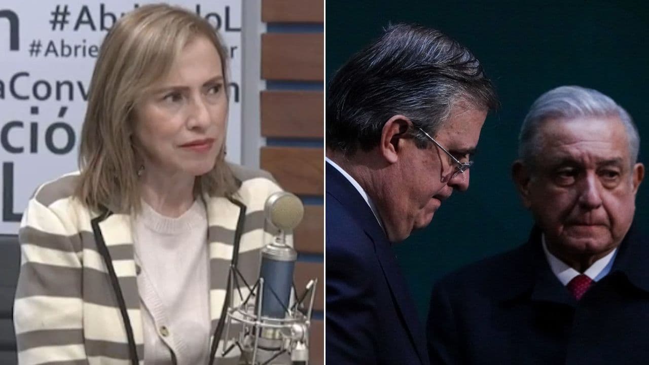 elena-chavez-ebrard-saqueo