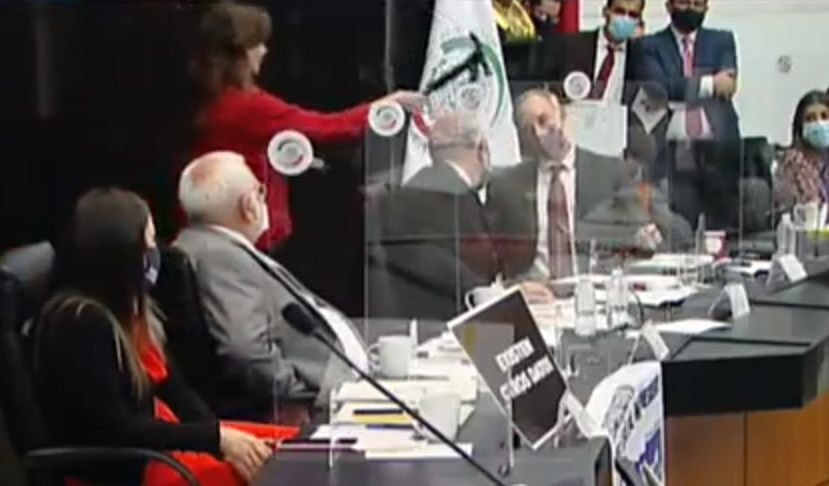 La senadora del PAN, Lilly Téllez y Hugo López-Gatell, subsecretario de Prevención y Promoción de la Salud. Foto: especial