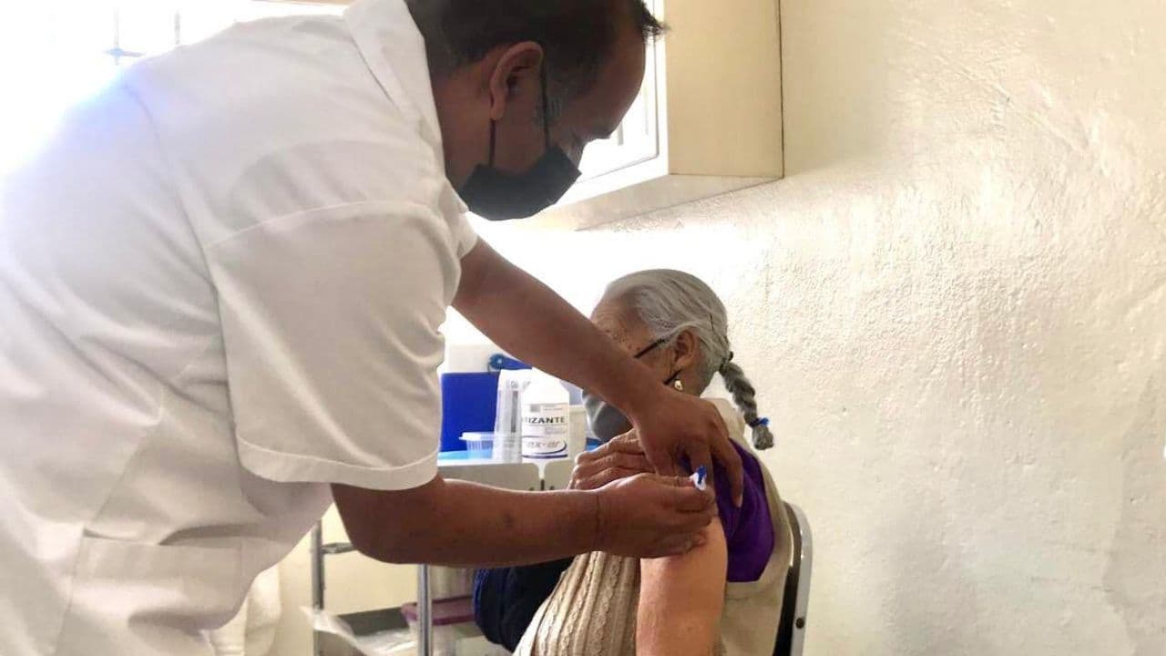 vacunacion adultos mayores