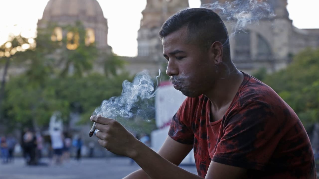 Marihuana - Cámara de Diputados